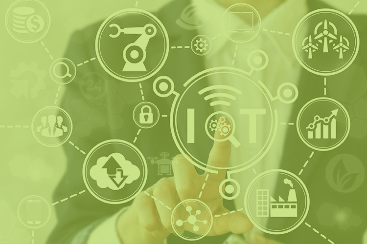 IOT verde